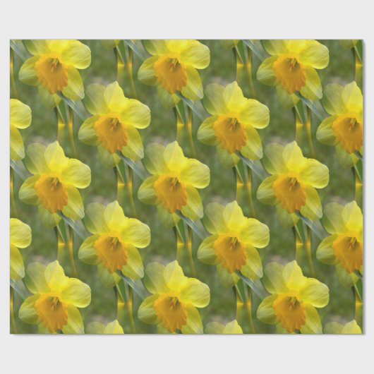 Velden van Daffodils... Cadeaupapier (Vlak)