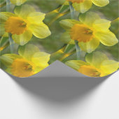 Velden van Daffodils... Cadeaupapier (Hoek)
