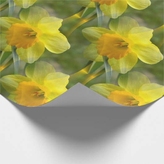 Velden van Daffodils... Cadeaupapier (Hoek)
