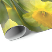 Velden van Daffodils... Cadeaupapier (Rol Hoek)