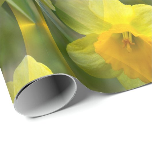 Velden van Daffodils... Cadeaupapier (Rol Hoek)