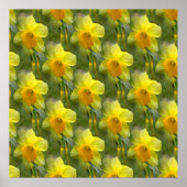 Velden van Daffodils... Poster (Voorkant)