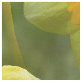 Velden van Daffodils... Stof (Close Up)