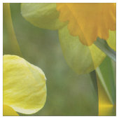 Velden van Daffodils... Stof (Swatch)