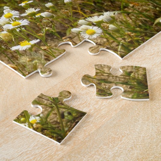Velden van Daisies Tennessee. Legpuzzel (Zijkant)