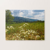Velden van Daisies Tennessee. Legpuzzel (Horizontaal)