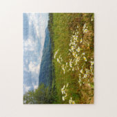 Velden van Daisies Tennessee. Legpuzzel (Verticaal)