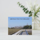 VELDEN VAN DE EVERGLADES BRIEFKAART (Staand voorkant)