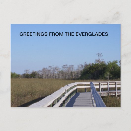 VELDEN VAN DE EVERGLADES BRIEFKAART (Voorkant)