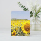 Velden van goud briefkaart (Staand voorkant)