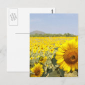 Velden van goud briefkaart (Voorkant / Achterkant)