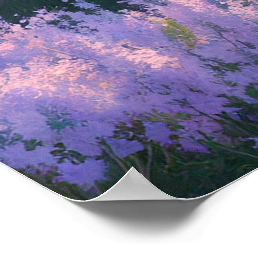 Velden van Lavender Dreams Poster (Hoek)