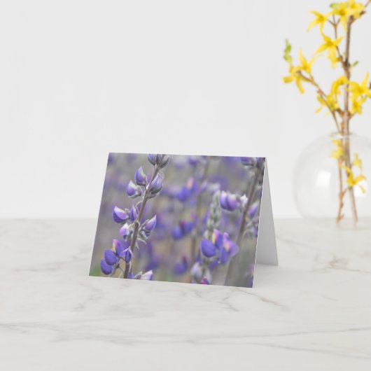 Velden van Paars Wenskaart Kaart (Gele Bloem)