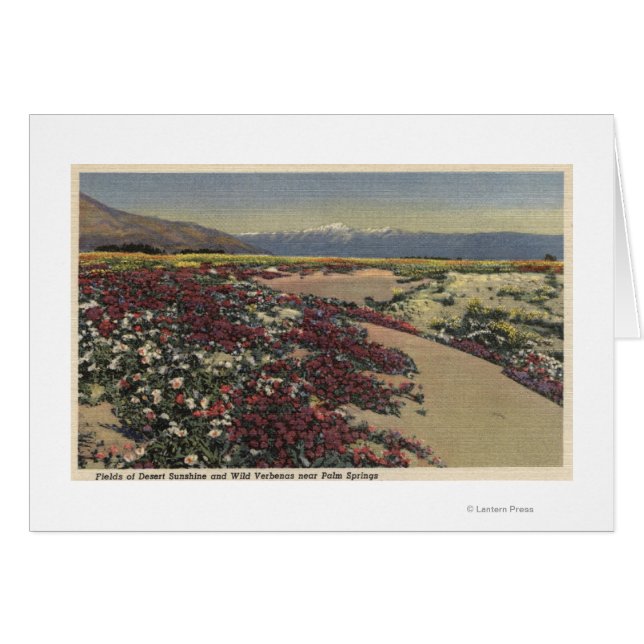 Velden van woestijnzon en wilde verbenas (Voorkant Horizontaal)