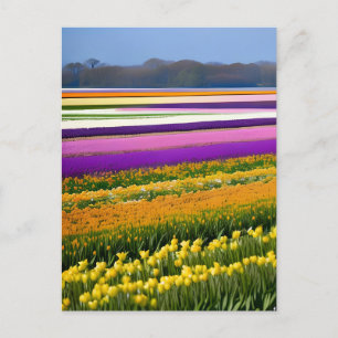 Velden vol Tulpen, Tulpen, bloemen, bloem Briefkaart