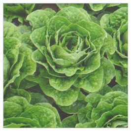 veldfotoweefsel van rotsla stof