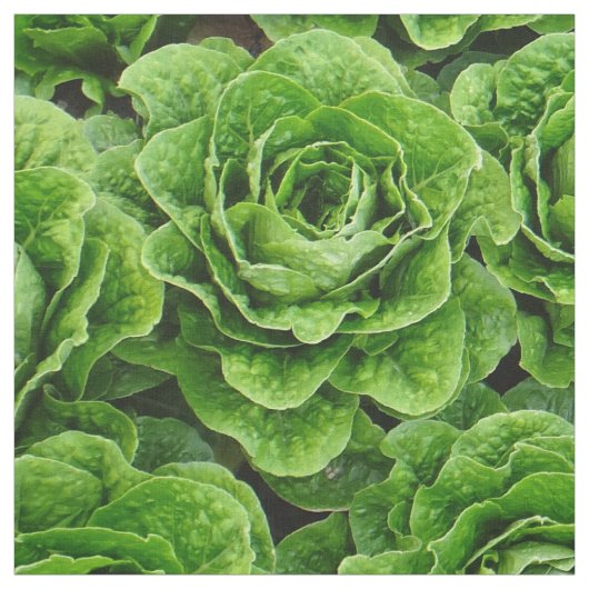 veldfotoweefsel van rotsla stof (Swatch)