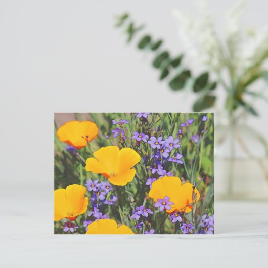 Veldgebied van lentevloeren briefkaart (Staand voorkant)
