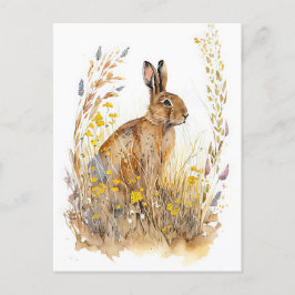 Veldhaas Tussen Kleurrijke Bloemen En Grassen Briefkaart