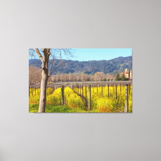 Veldmosterd bij Vineyard Canvas Afdruk (Voorkant)