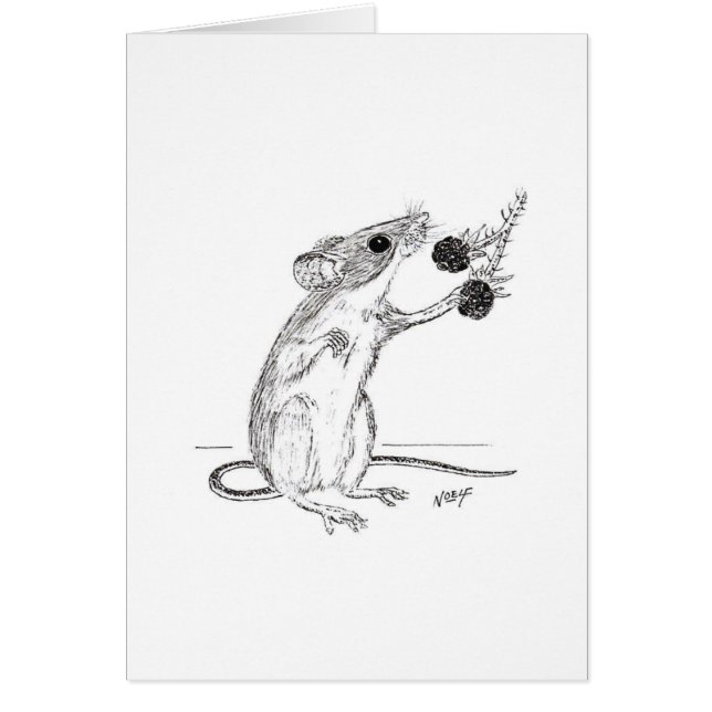 Veldmuis en Blackberry's (Voorkant)