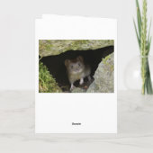 Veldmuis in een gat in de muur kaart (Achterkant)