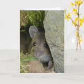 Veldmuis in een gat in de muur kaart (Gele Bloem)