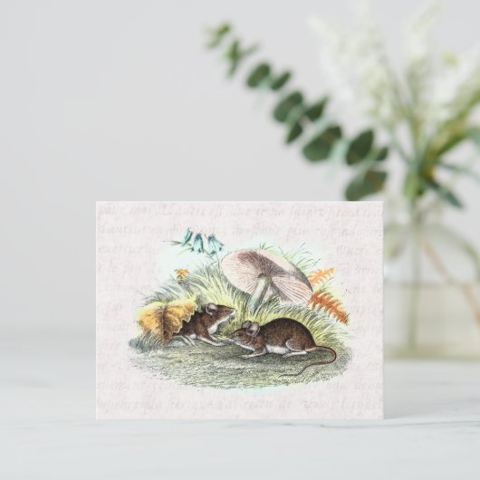  veldmuis met paddenstoelen Oude muizen met oprolm Briefkaart (Staand voorkant)