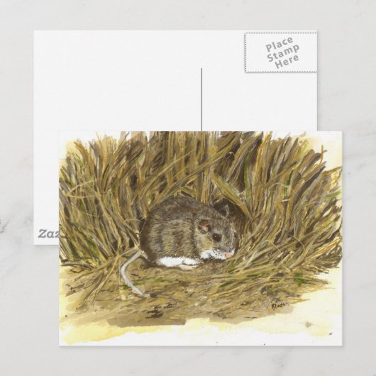 Veldmuisbriefkaart Briefkaart (Voorkant / Achterkant)