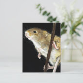 Veldmuisontwerp Briefkaart (Staand voorkant)