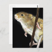 Veldmuisontwerp Briefkaart (Voorkant / Achterkant)