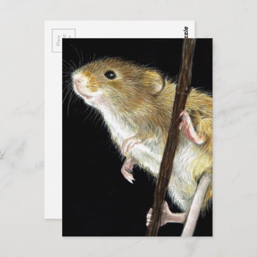 Veldmuisontwerp Briefkaart (Voorkant / Achterkant)