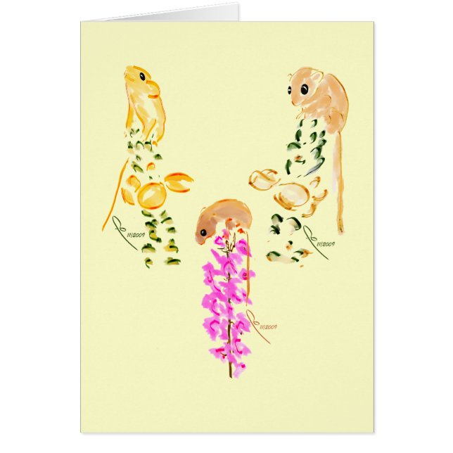 veldmuizen (Voorkant)