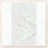 veldmuizencoaster glazen onderzetter (Achterkant)