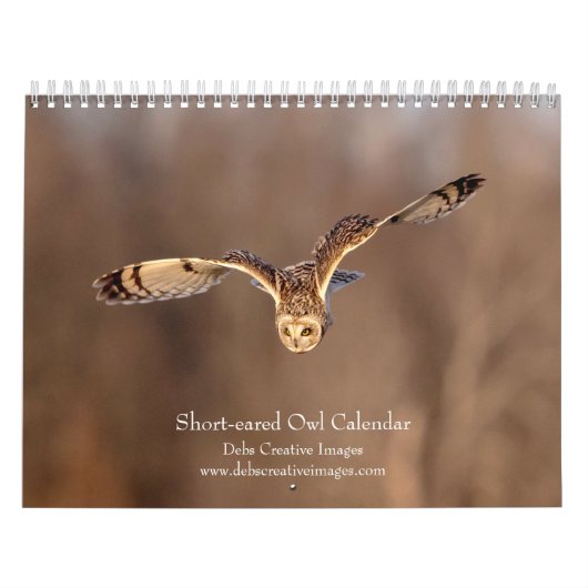 Veldooruil 2026 kalender (Hoes)