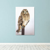 Veldooruil op hekpilaar canvas afdruk (Insitu (Houten vloer))