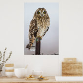 Veldooruil op hekpilaar poster (Keuken)