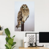 Veldooruil op hekpilaar poster (Thuiskantoor)