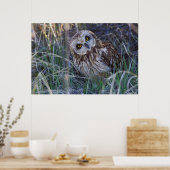 Veldooruil Poster (Keuken)