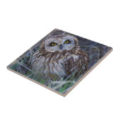 Veldooruil Tegeltje (Zijkant)