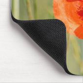 Veldrand van een maïsveld met rode papaver - Veld Muismat (Hoek)