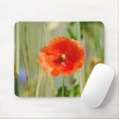Veldrand van een maïsveld met rode papaver - Veld Muismat (Met muis)