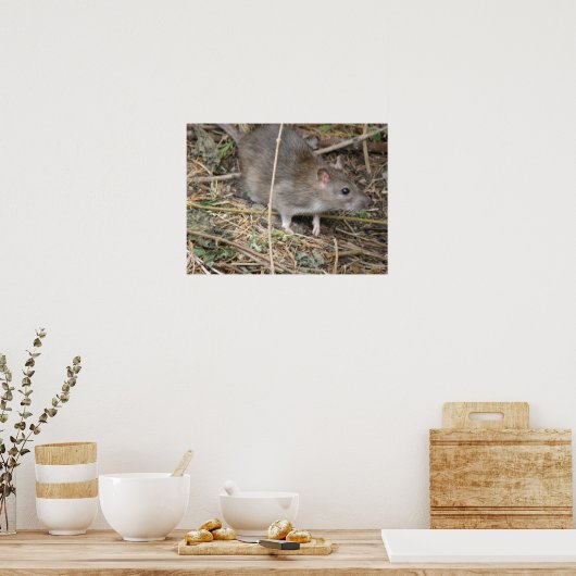 Veldrikafdrukken voor wilde ritten poster (Keuken)