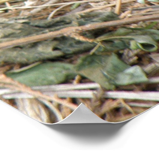 Veldrikafdrukken voor wilde ritten poster (Hoek)