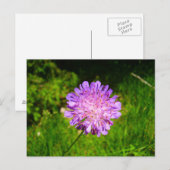 Veldschaalbaar Briefkaart (Voorkant / Achterkant)