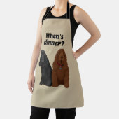 Veldspaniel, Schattige honden wanneer is het avond Schort (Insitu)