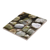 Veldsteen, gesteente, gesteente, gestormde steen tegeltje (Zijkant)