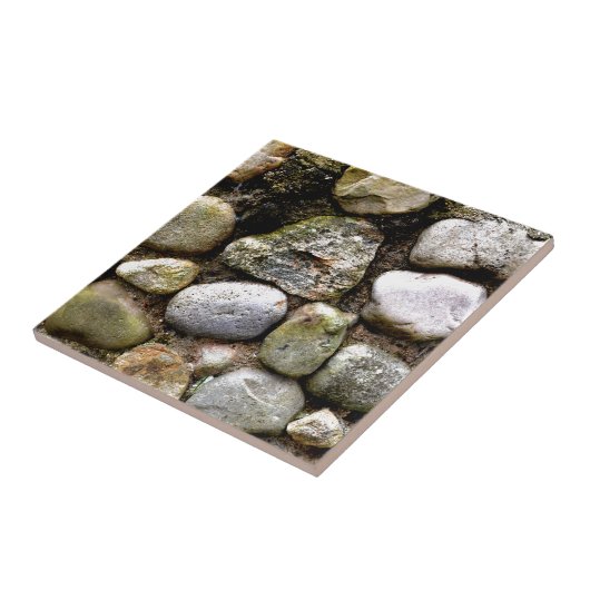 Veldsteen, gesteente, gesteente, gestormde steen tegeltje (Zijkant)