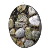 Veldsteen, stenen, gesteente, gestormde steen, roe dartbord (Voorkant Rechts)