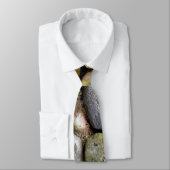 Veldsteen, stenen, gesteente, gestormde steen, roe stropdas (Gebonden)